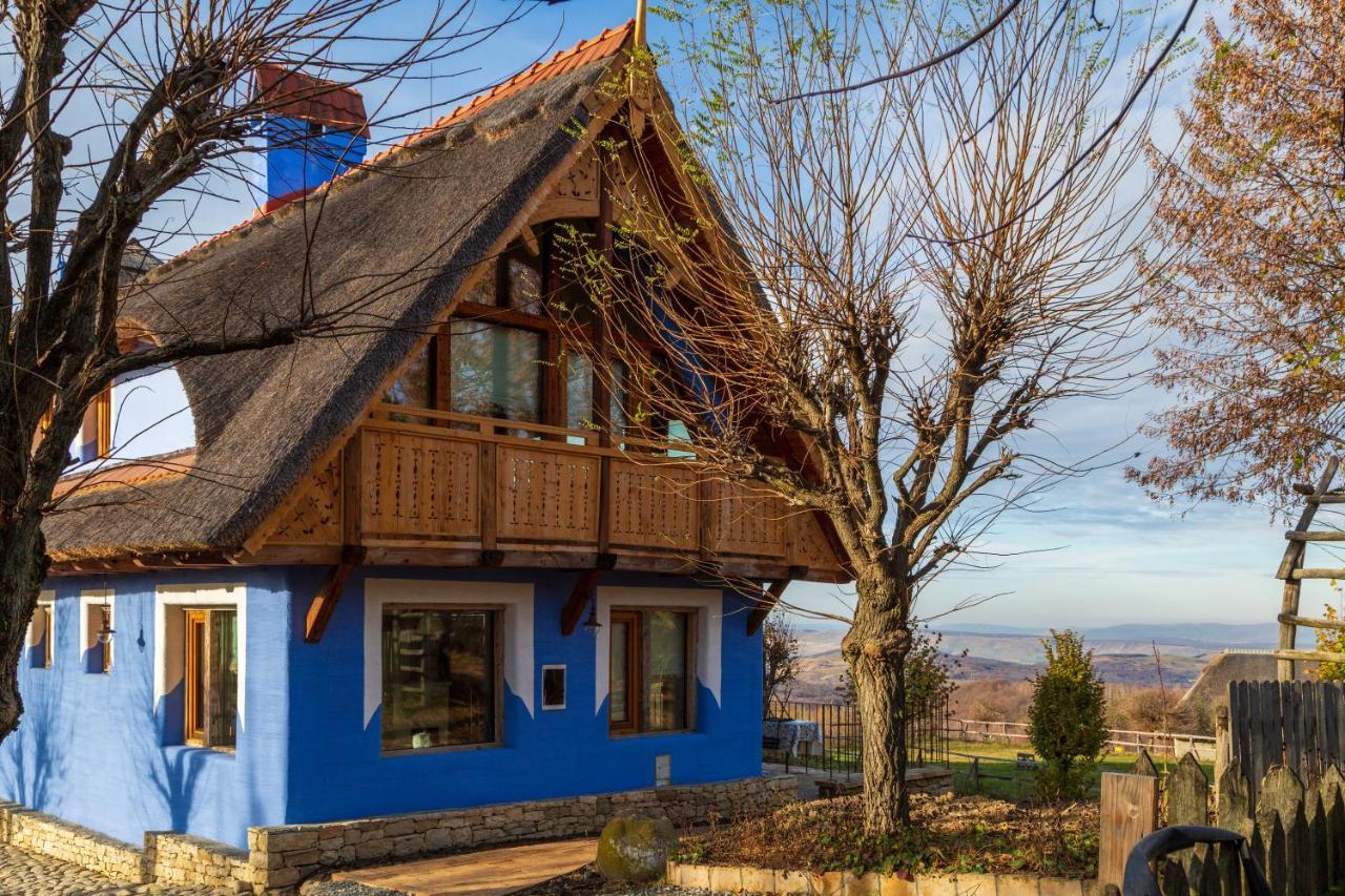 Casele Cu Stuf B&B Haus Ulrike Sălicea Exteriör bild