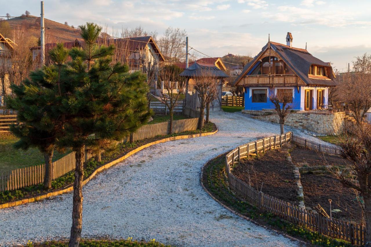 Casele Cu Stuf B&B Haus Ulrike Sălicea Exteriör bild