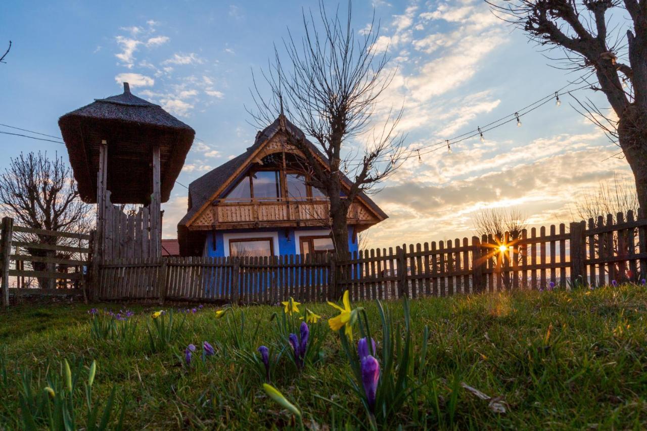 Casele Cu Stuf B&B Haus Ulrike Sălicea Exteriör bild