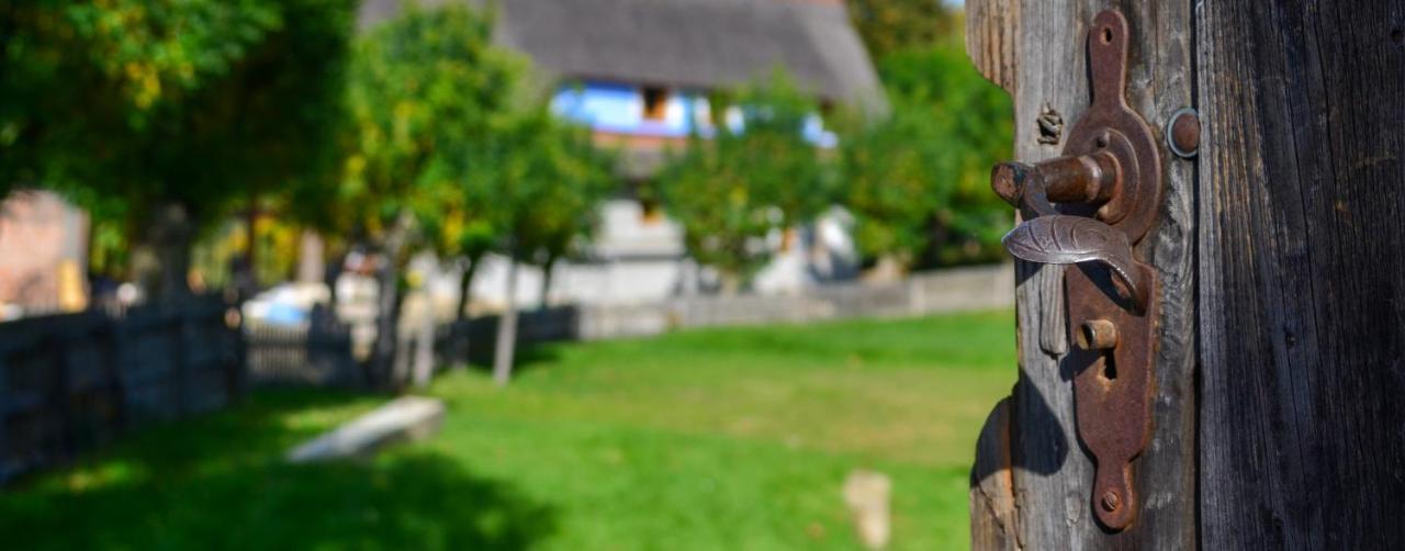 Casele Cu Stuf B&B Haus Ulrike Sălicea Exteriör bild