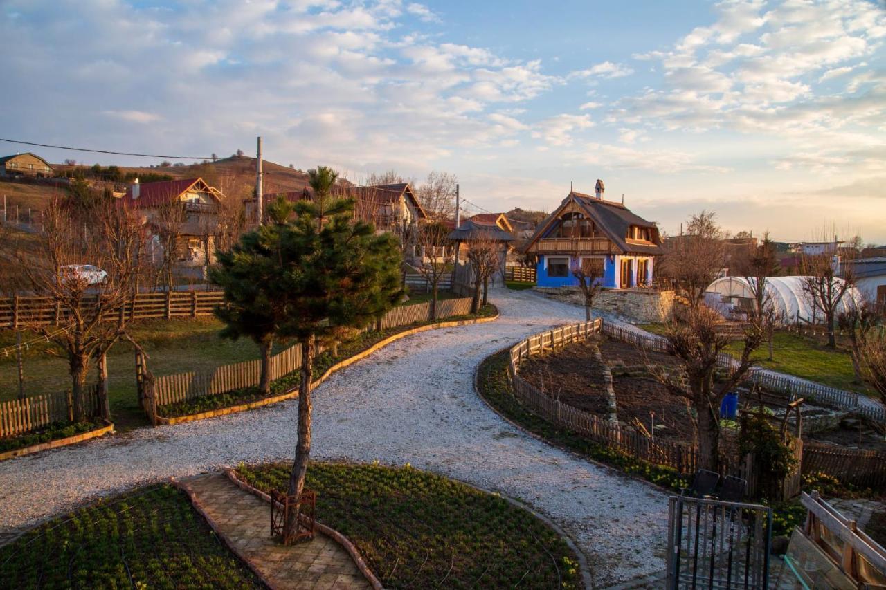 Casele Cu Stuf B&B Haus Ulrike Sălicea Exteriör bild