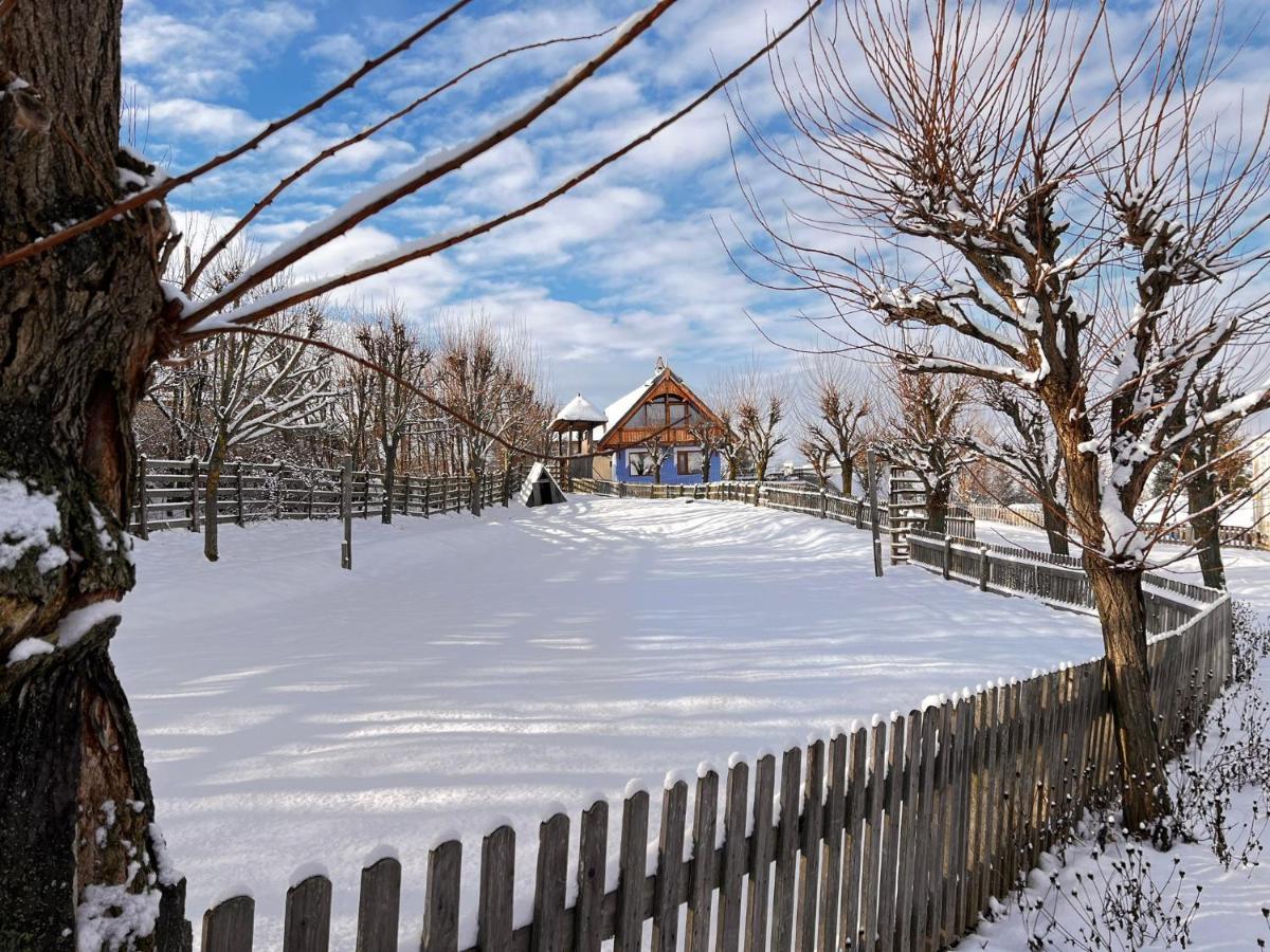 Casele Cu Stuf B&B Haus Ulrike Sălicea Exteriör bild