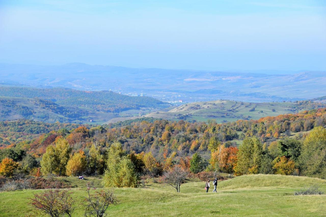 Casele Cu Stuf B&B Haus Ulrike Sălicea Exteriör bild