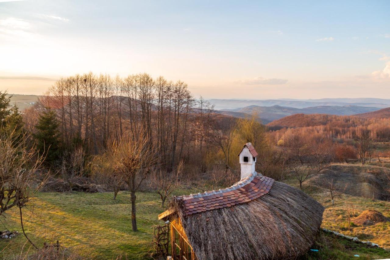 Casele Cu Stuf B&B Haus Ulrike Sălicea Exteriör bild