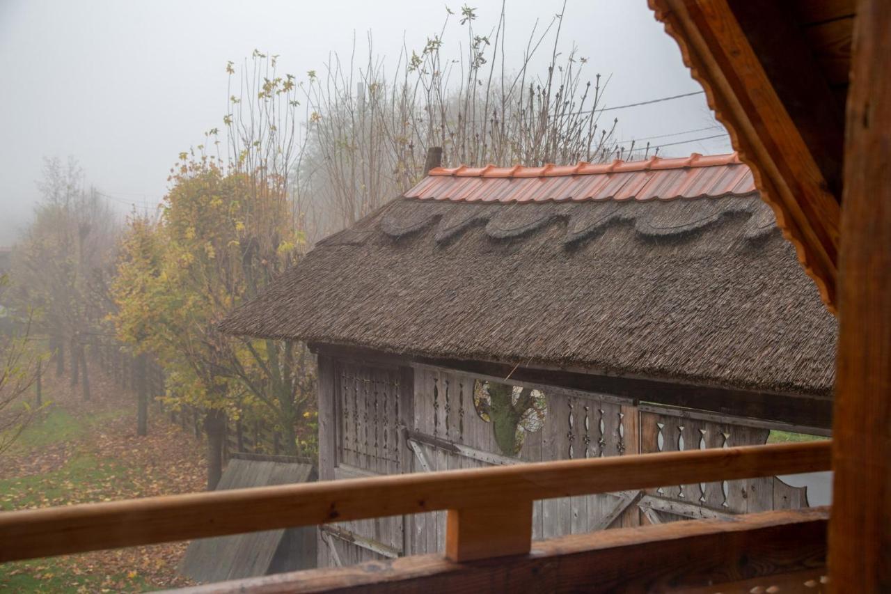 Casele Cu Stuf B&B Haus Ulrike Sălicea Exteriör bild