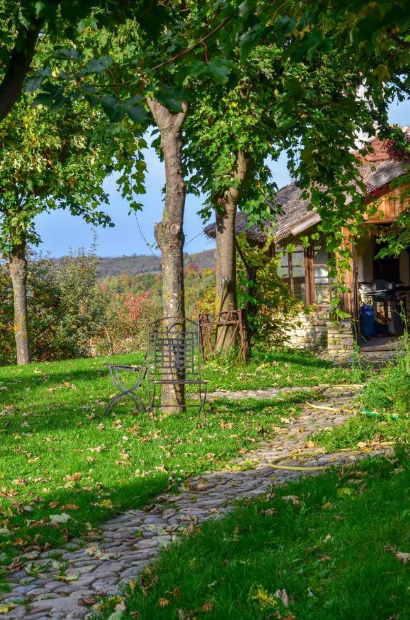 Casele Cu Stuf B&B Haus Ulrike Sălicea Exteriör bild