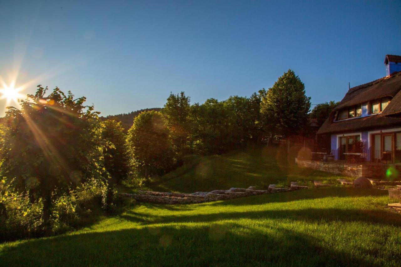 Casele Cu Stuf B&B Haus Ulrike Sălicea Exteriör bild